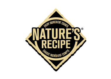 Pea & Carrot Recipe Dog Treats 454g Natures Recipe Chewy Bites Grain Free Turkey
